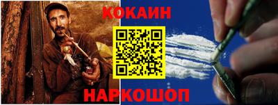 гашик Донской
