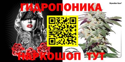 ECSTASY Дубна