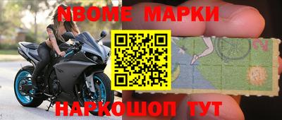 гашик Донской