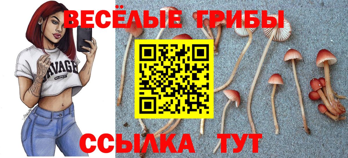 Галлюциногенные грибы ЛСД Красный Сулин